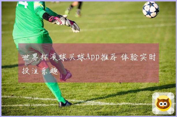 世界杯滚球买球App推荐 体验实时投注乐趣