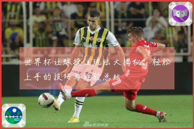 世界杯让球投注玩法大揭秘：轻松上手的技巧与经验总结
