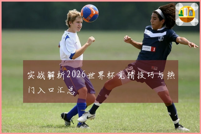 实战解析2026世界杯竞猜技巧与热门入口汇总