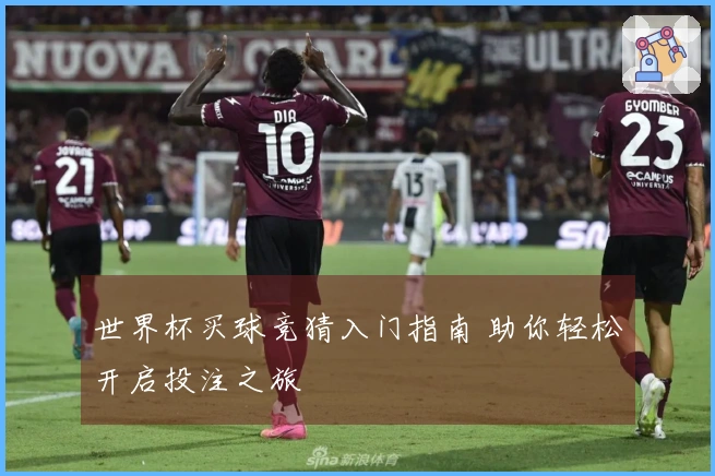 世界杯买球竞猜入门指南 助你轻松开启投注之旅