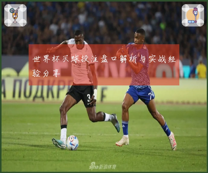 世界杯买球投注盘口解析与实战经验分享