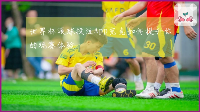 世界杯滚球投注App究竟如何提升你的观赛体验