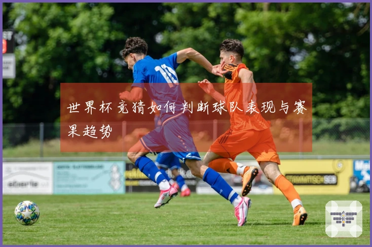 世界杯竞猜如何判断球队表现与赛果趋势