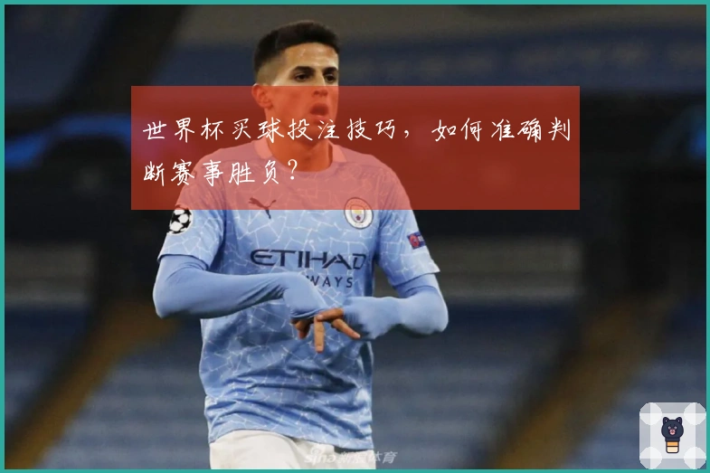 世界杯买球投注技巧，如何准确判断赛事胜负？