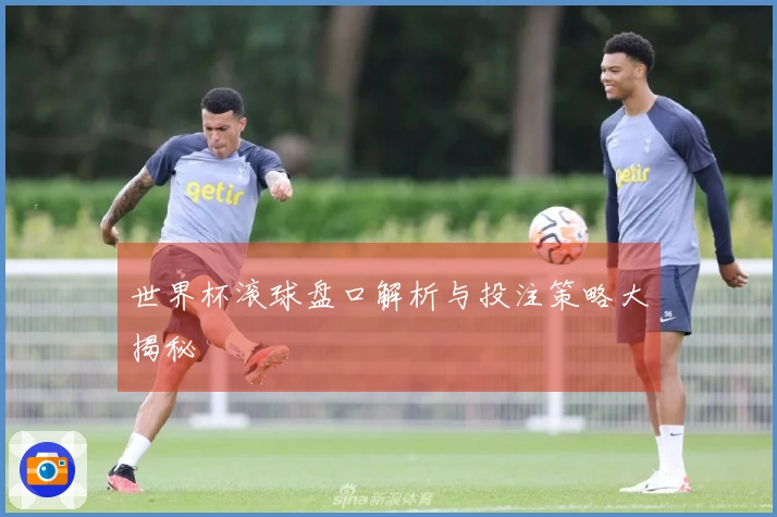 世界杯滚球盘口解析与投注策略大揭秘