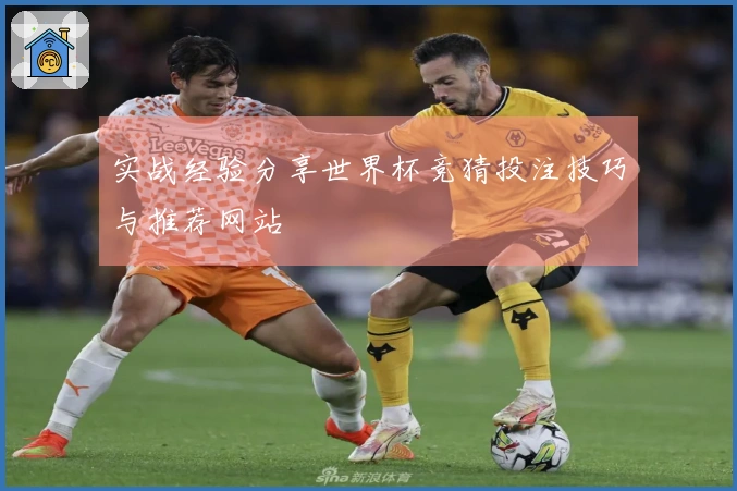 实战经验分享世界杯竞猜投注技巧与推荐网站
