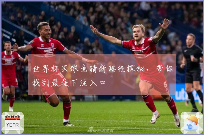 世界杯买球竞猜新路径探秘，带你找到最佳下注入口
