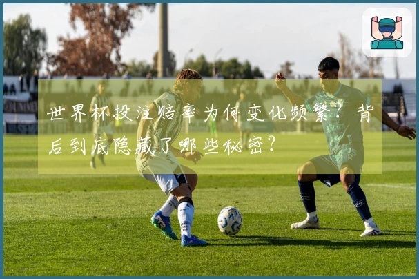 世界杯投注赔率为何变化频繁？背后到底隐藏了哪些秘密？