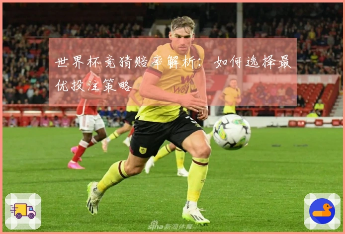 世界杯竞猜赔率解析：如何选择最优投注策略
